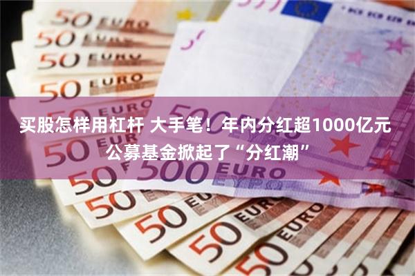 买股怎样用杠杆 大手笔！年内分红超1000亿元 公募基金掀起了“分红潮”