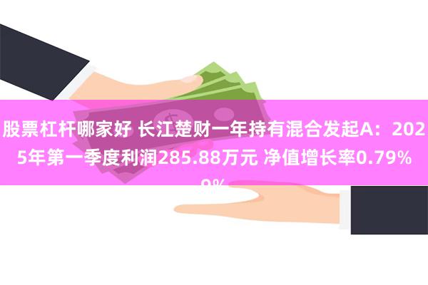 股票杠杆哪家好 长江楚财一年持有混合发起A：2025年第一季