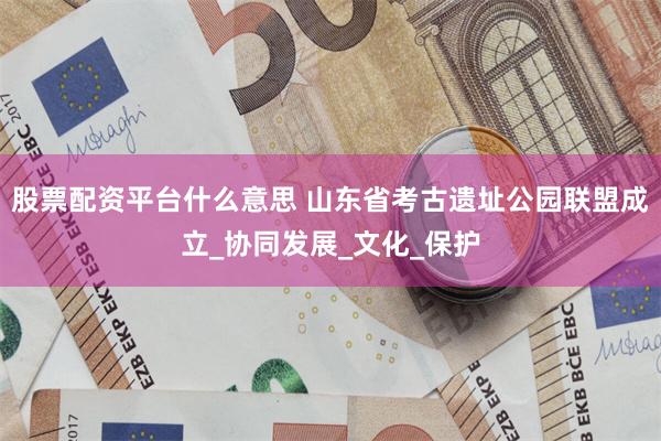 股票配资平台什么意思 山东省考古遗址公园联盟成立_协同发展_