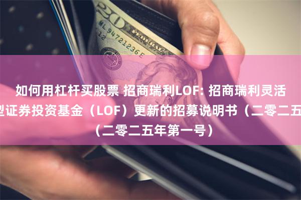 如何用杠杆买股票 招商瑞利LOF: 招商瑞利灵活配置混合型证券投资基金(LOF)更新的招募说明书(二零二五年第一号)