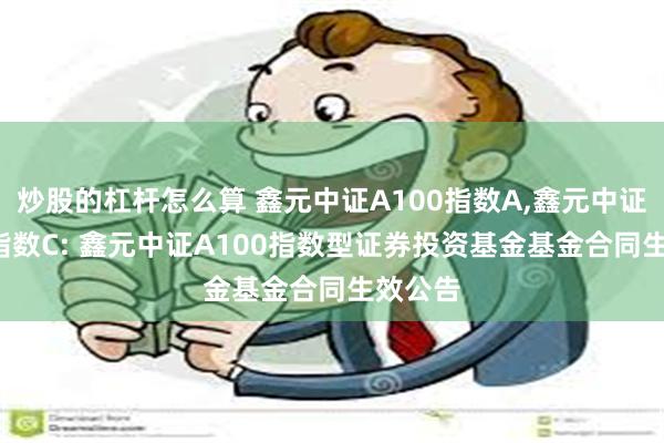 炒股的杠杆怎么算 鑫元中证A100指数A,鑫元中证A100指