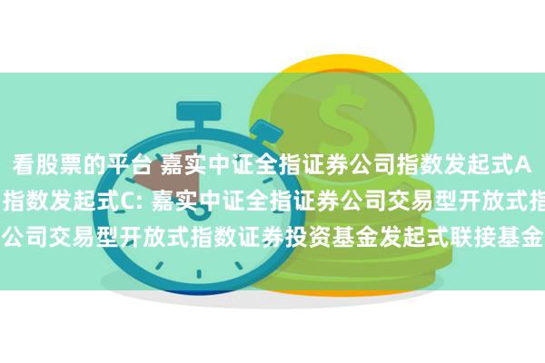 看股票的平台 嘉实中证全指证券公司指数发起式A,嘉实中证全指