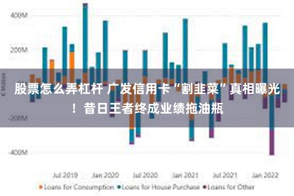 股票怎么弄杠杆 广发信用卡“割韭菜”真相曝光！昔日王者终成业