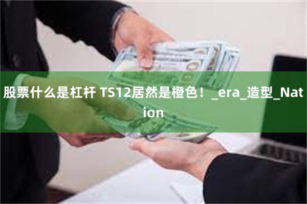 股票什么是杠杆 TS12居然是橙色！_era_造型_Nati