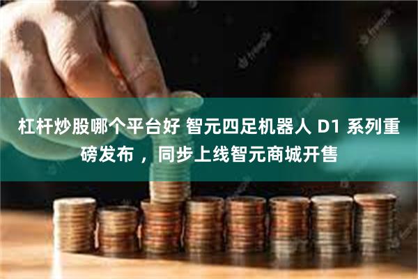 杠杆炒股哪个平台好 智元四足机器人 D1 系列重磅发布 ，同