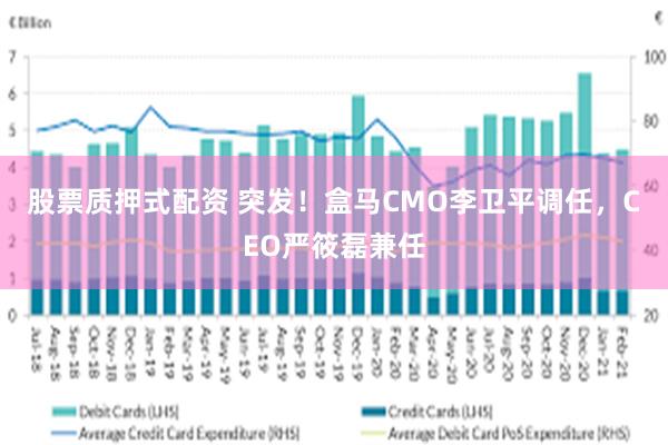 股票质押式配资 突发！盒马CMO李卫平调任，CEO严筱磊兼任